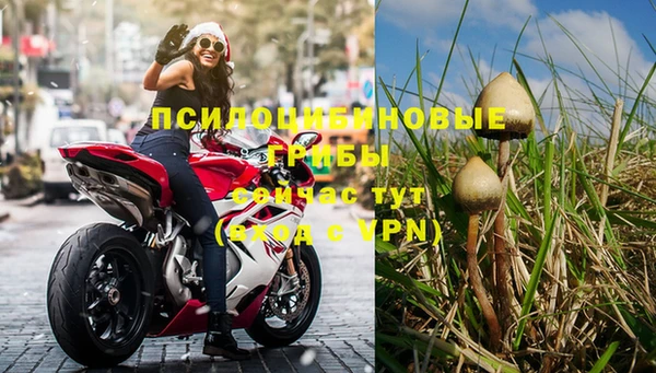 трава Баксан