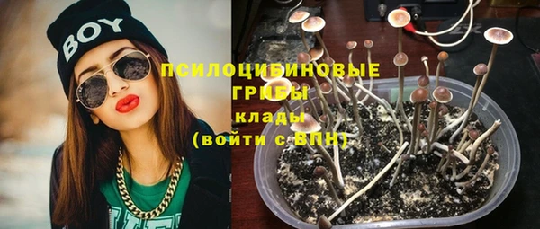 меф Арсеньев