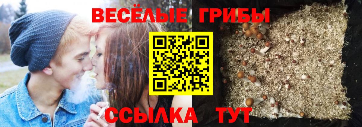 Белово  Псилоцибиновые грибы Magic Shrooms  Псилоцибиновые грибы мицелий  Вход с VPN 