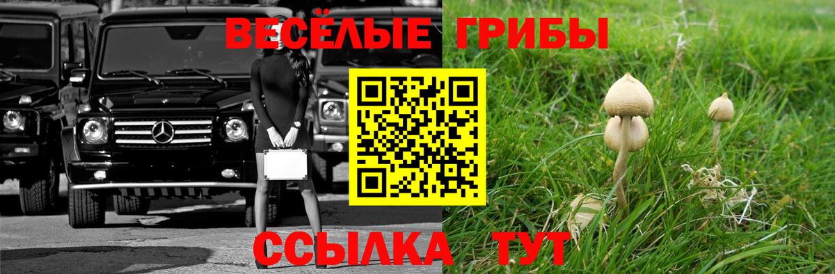 Галлюциногенные грибы GOLDEN TEACHER  Белово 