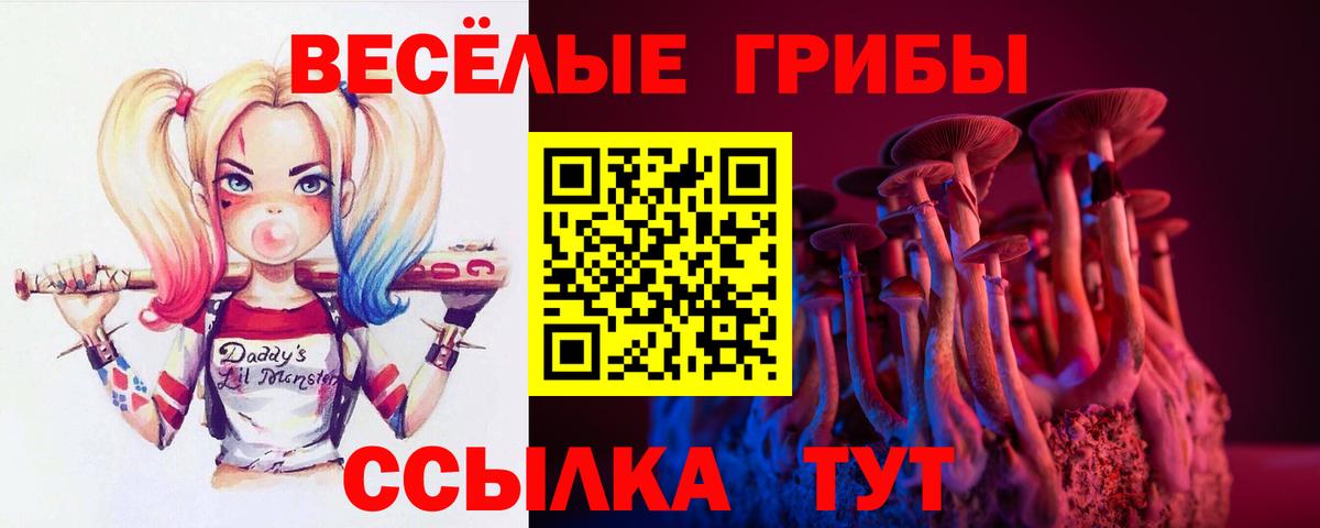 Галлюциногенные грибы Cubensis Белово