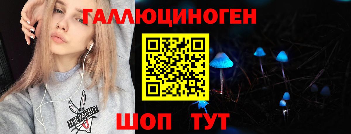 Псилоцибиновые грибы Psilocybe Белово